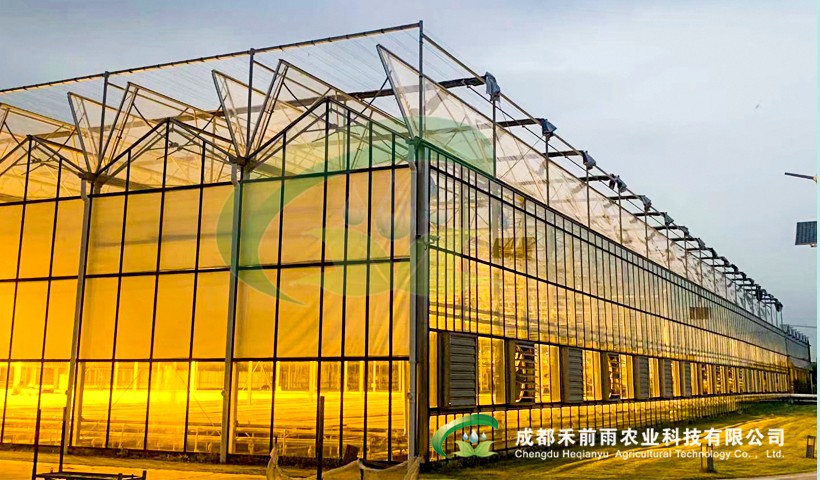 香港六宝经典大全
